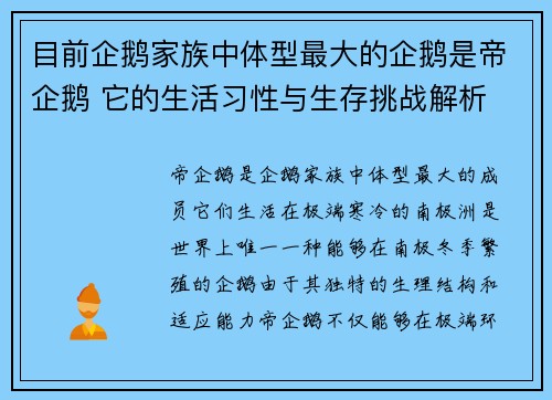 目前企鹅家族中体型最大的企鹅是帝企鹅 它的生活习性与生存挑战解析